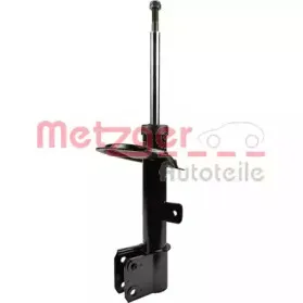metzger-2340225